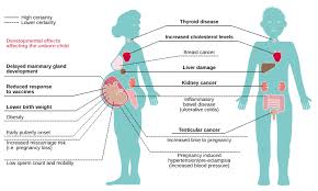 Possible Health Risks and Precautions