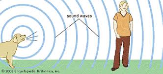 sound waves travel