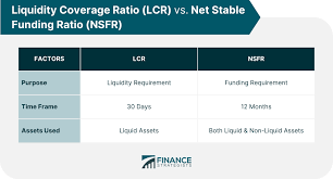 net Insurance