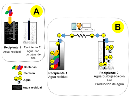 The discovery of bioelectricity