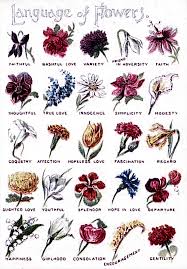 Types of flowers associated with respect